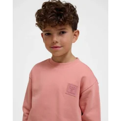Discount Clean sweatshirt til barn, Rose Dawn Gensere Jente 8-16 År | Gensere & Overdeler Gutt