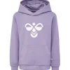 Clearance Hmlcuatro hettegenser, Lavender Gray Gensere Jente 8-16 År | Gensere & Overdeler Gutt