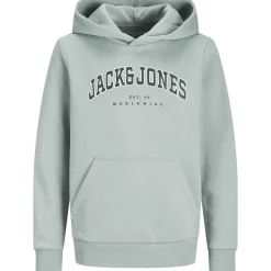 Fashion Caleb hettegenser, Iceberg Green Gensere Gutt 8-16 År | Gensere & Overdeler Gutt