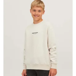 Fashion Vesterbro sweatshirt, Moonbeam Gensere Gutt 8-16 År | Gensere & Overdeler Gutt