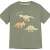 New t-skjorte til barn m/dino, Sea Spray T-skjorter Gutt