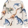 Sale Kasmir genser til småbarn, peyote melange Gensere & Overdeler Gutt | Gensere Baby Gutt