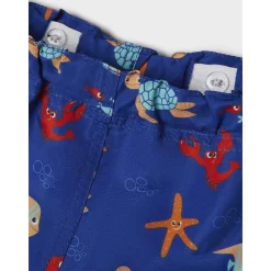 Sale Zeus badeshorts til småbarn, surf the web Badetøy Gutt | Badetøy Baby Jente